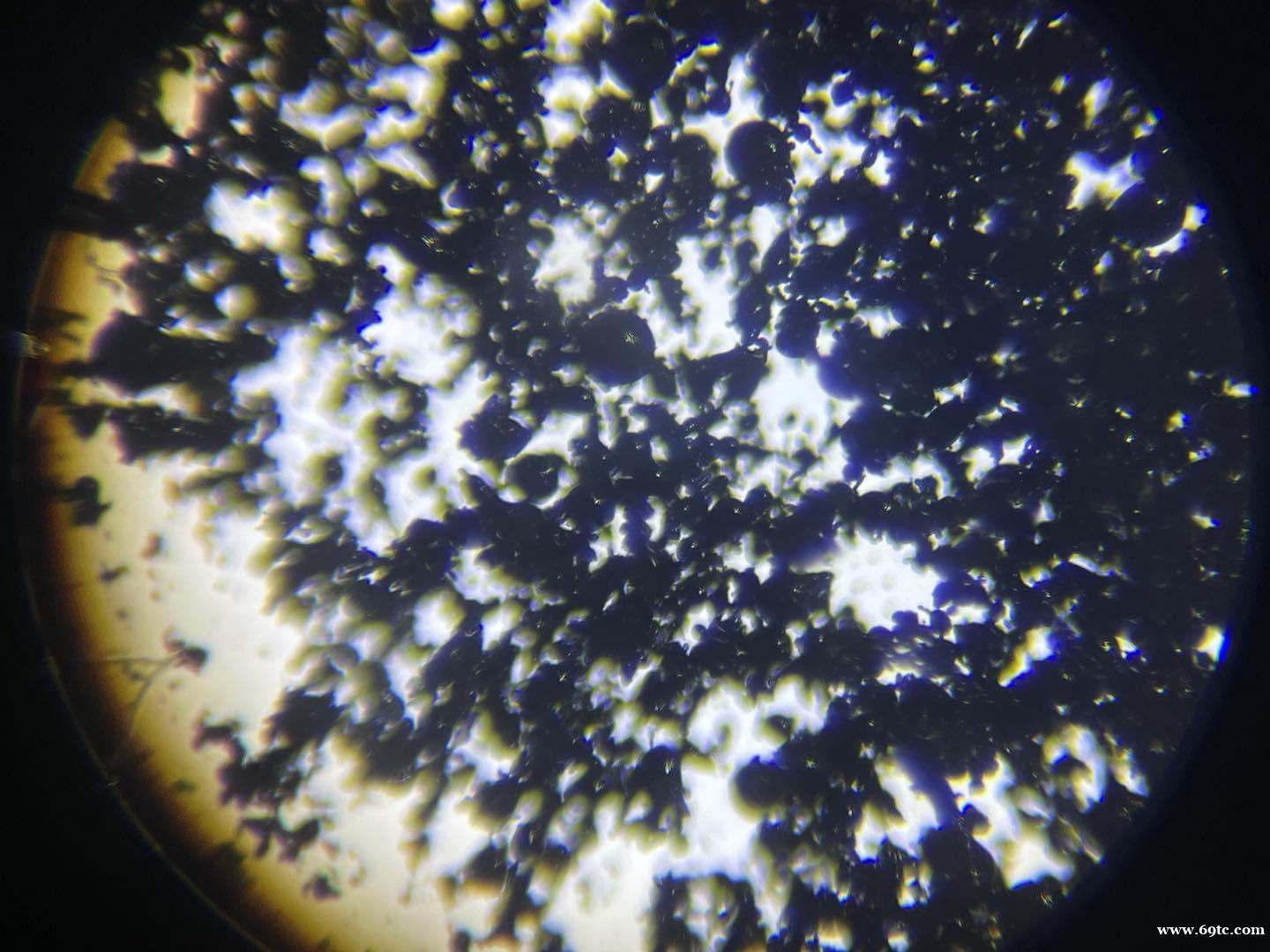 /attachment/editor/20240408/1712542594k1l34.jpg /attachment/editor/20240408/1712542594k1l34.jpg