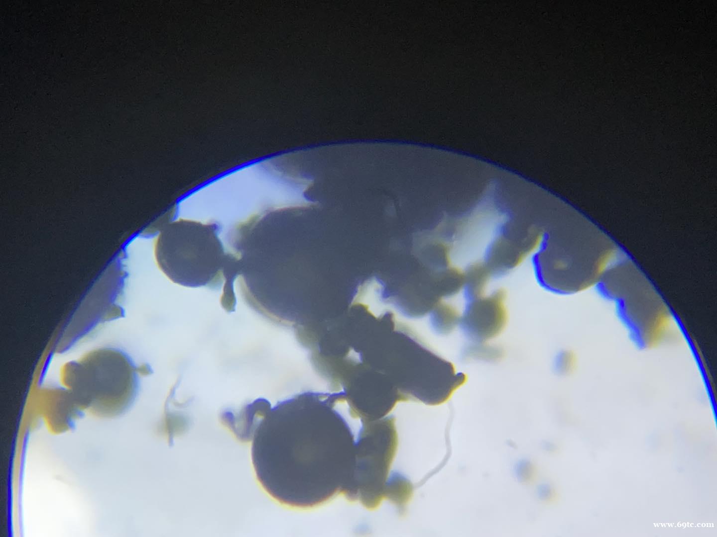 /attachment/editor/20240408/1712542604nrgiq.jpg /attachment/editor/20240408/1712542604nrgiq.jpg