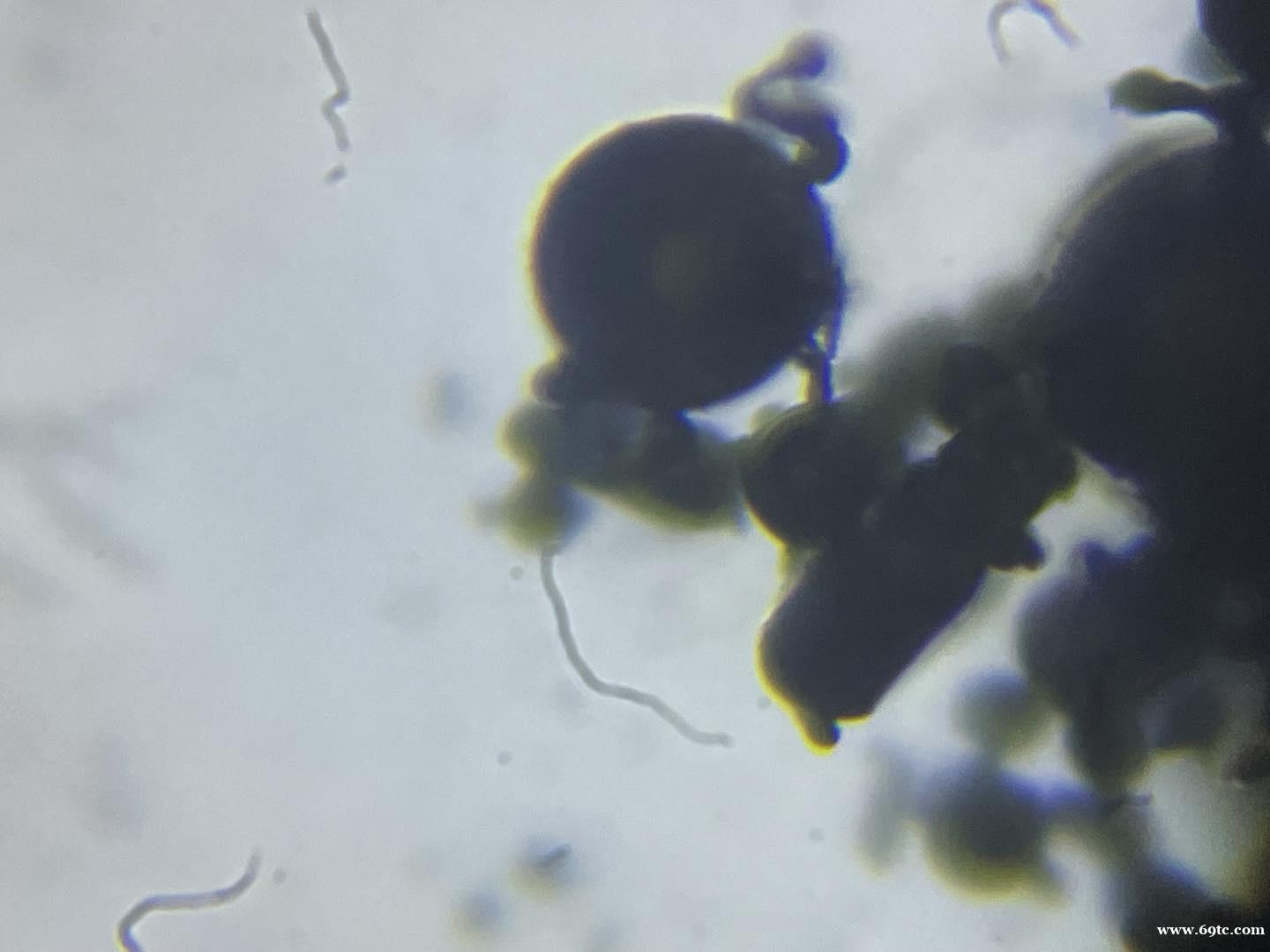 /attachment/editor/20240408/1712542608yehyy.jpg /attachment/editor/20240408/1712542608yehyy.jpg