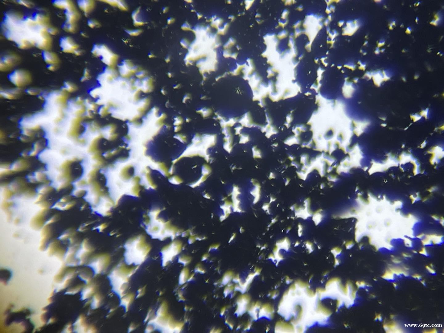 /attachment/editor/20240423/1713839480nymy2.jpg /attachment/editor/20240423/1713839480nymy2.jpg