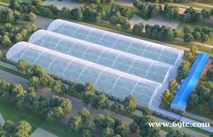 /attachment/editor/20241031/1730356443idp2n.jpg /attachment/editor/20241031/1730356443idp2n.jpg