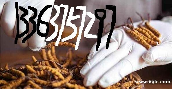 /attachment/editor/20250314/1741943438itzbk.jpg /attachment/editor/20250314/1741943438itzbk.jpg