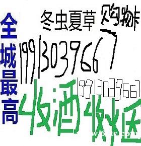 /attachment/editor/20250428/1745803505ts6uf.jpg /attachment/editor/20250428/1745803505ts6uf.jpg