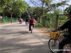 深圳公司留深过年活动方案以及深圳春节游玩好地方推荐-田中园拓