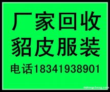 邯郸回收皮草的邯郸收貂皮的邯郸收购貂皮的