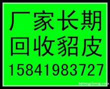 济宁回收貂皮的济宁皮草回收的济宁收貂皮的