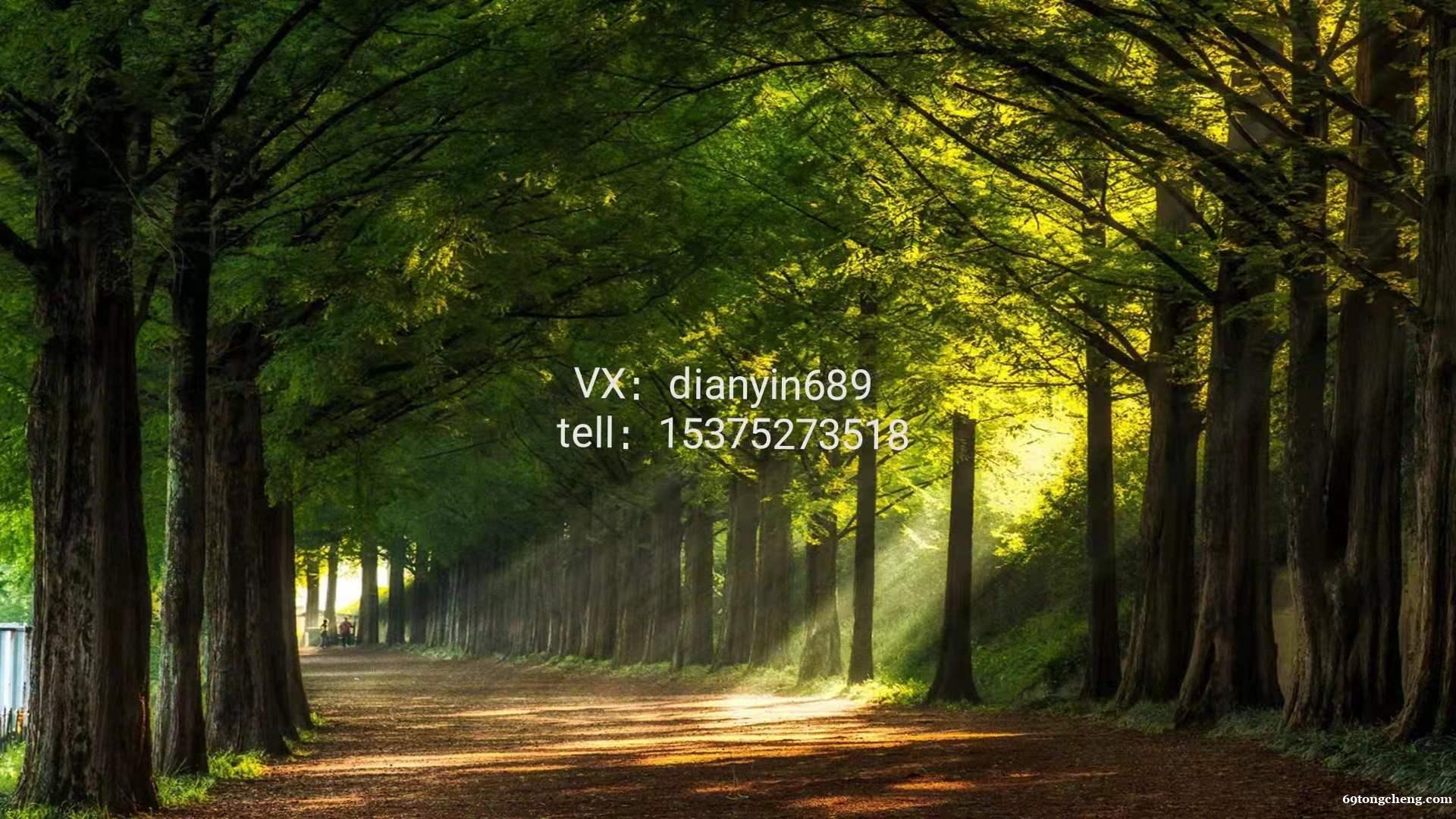 点音互娱了解一下 点音互娱了解一下