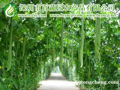 食堂配送公司_生鲜配送服务_深圳百蔬园农副产品配送... 食堂配送公司_生鲜配送服务_深圳百蔬园农副产品配送...