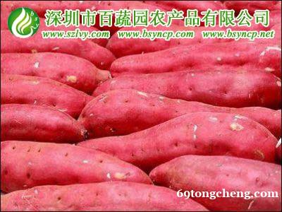 食堂配送公司_生鲜配送服务_深圳百蔬园农副产品配送... 食堂配送公司_生鲜配送服务_深圳百蔬园农副产品配送...