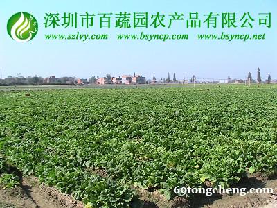 食堂配送公司_生鲜配送服务_深圳百蔬园农副产品配送... 食堂配送公司_生鲜配送服务_深圳百蔬园农副产品配送...