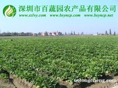 食堂配送公司_生鲜配送服务_深圳百蔬园农副产品配送...