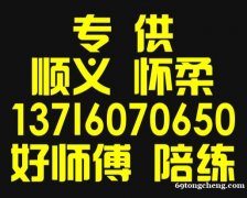 顺义怀柔好师傅汽车陪练公司