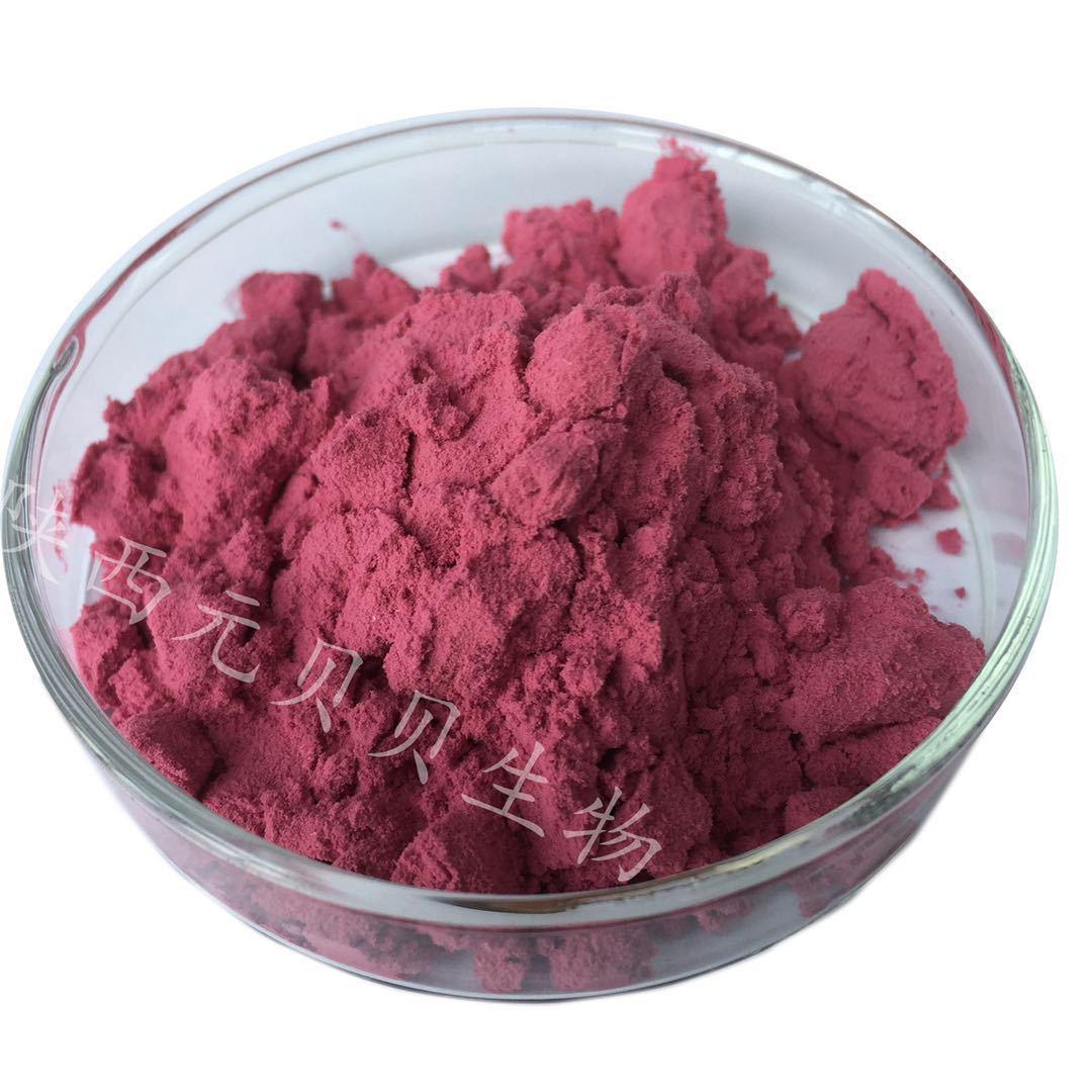 壹贝子 黑果腺肋花楸果粉 野樱莓提取物 不老莓 野樱莓果粉 壹贝子 黑果腺肋花楸果粉 野樱莓提取物 不老莓 野樱莓果粉