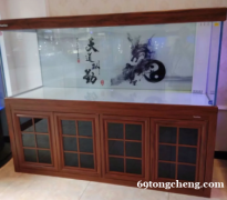 福州市清洗鱼缸 景致护理 鱼养护 鱼缸安装 鱼缸维修