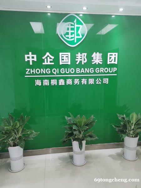 海南自贸港专业代账记账税筹一站式服务电话妖叁四伞灵而把肆午司 海南自贸港专业代账记账税筹一站式服务电话妖叁四伞灵而把肆午司