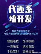 智能代还软件开发公司 模板+定制/系统开发