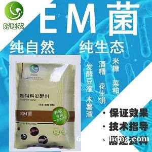 啤酒糟做养猪饲料应该怎样发酵处理 啤酒糟做养猪饲料应该怎样发酵处理