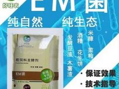 啤酒糟做养猪饲料应该怎样发酵处理