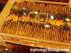 高价回收冬虫夏草13552914056海参阿胶鹿茸安宫牛黄丸