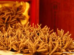 回收同仁堂冬虫夏草13439830111收购海参 燕窝礼品