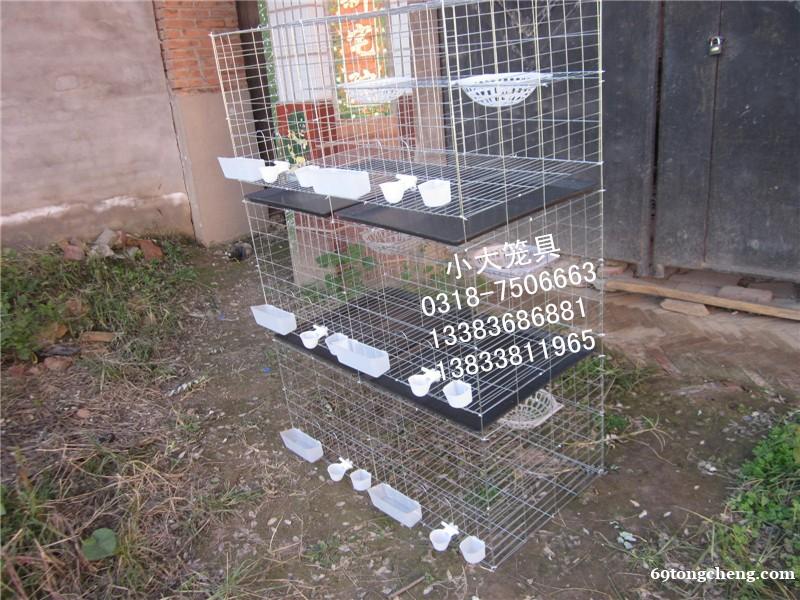 供应鸡鸽兔笼,狐狸笼,貉笼,鹌鹑笼,宠物笼及饮水器,食盒等养 供应鸡鸽兔笼,狐狸笼,貉笼,鹌鹑笼,宠物笼及饮水器,食盒等养