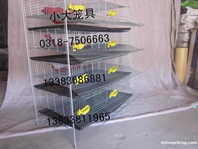供应鸡鸽兔笼,狐狸笼,貉笼,鹌鹑笼,宠物笼及饮水器,食盒等养 供应鸡鸽兔笼,狐狸笼,貉笼,鹌鹑笼,宠物笼及饮水器,食盒等养