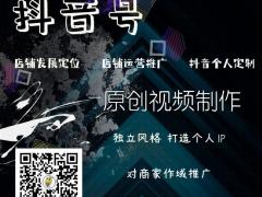商家抖音号，个人抖音号精准推广策划