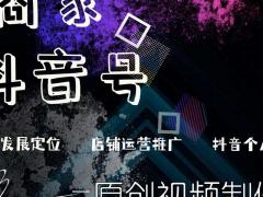 商家抖音号个人抖音号推广策划