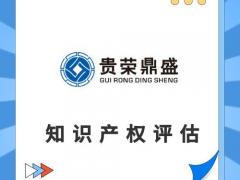 专有技术评估专利实缴评估知识产权评估软著评估