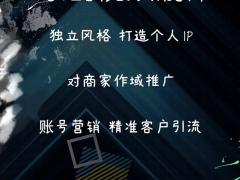 商家抖音号,个人抖音号精准推广策划