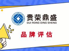 品牌价值评估商标评估专利实缴评估软著出资评估