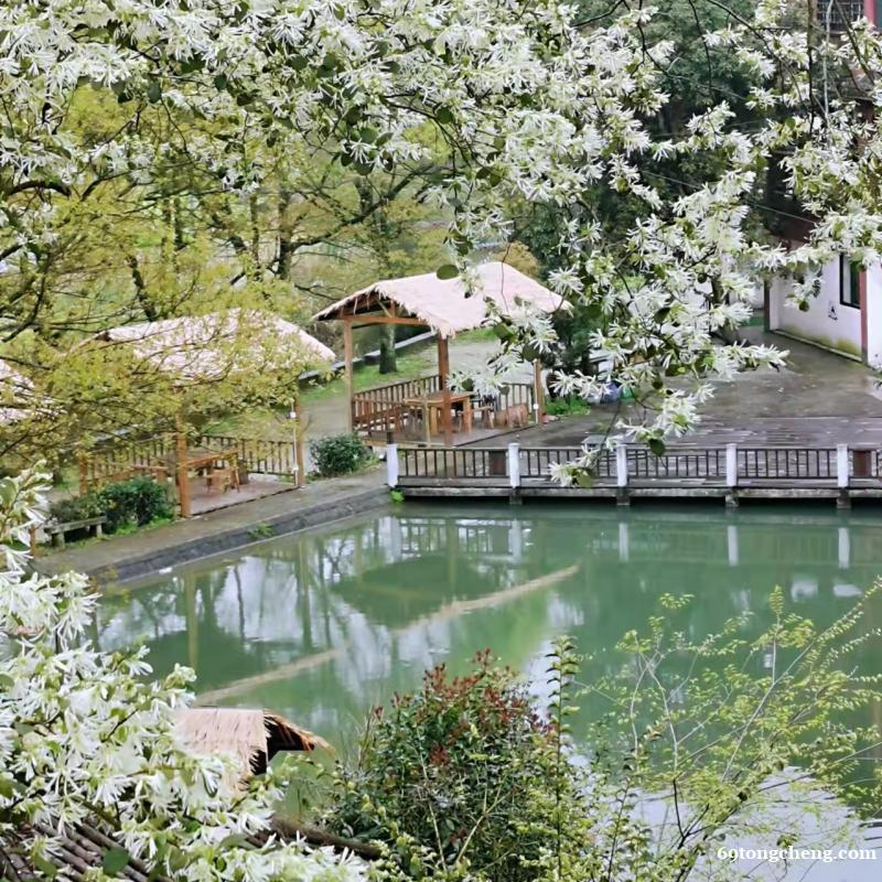 长沙黑麋峰罗汉山庄休闲娱乐打卡地 长沙黑麋峰罗汉山庄休闲娱乐打卡地