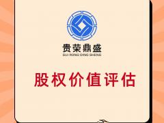 九江市企业股权价值评估股东价值评估企业负债评估