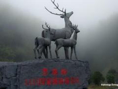 长沙市黑麋峰罗汉山庄