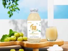 橄清茉莉花滇橄榄汁加工定制15905373071