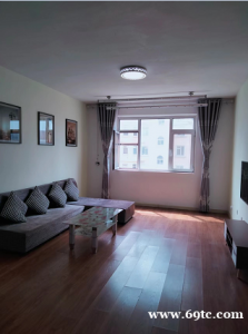 薛家岛套二房出租，长江盛阁小区