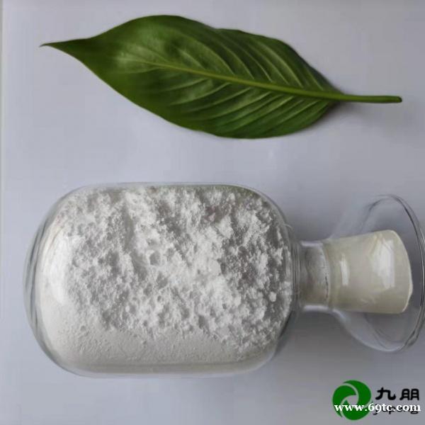 九朋催化剂400NM偏钛酸水合二氧化钛CY-TP400 九朋催化剂400NM偏钛酸水合二氧化钛CY-TP400