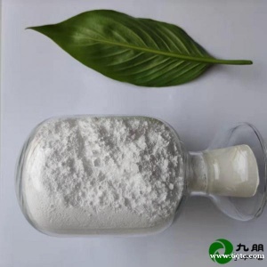 九朋催化剂400NM偏钛酸水合二氧化钛CY-TP400