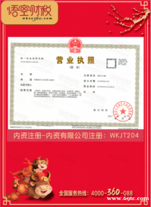 内资有限公司注册