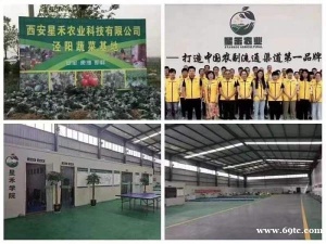 西安蔬菜批发配送中心专业送菜公司