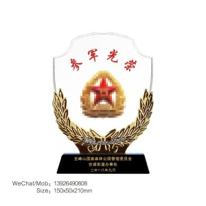 八一参军光荣政府表彰玻璃奖杯新兵入伍荣誉纪念品定做