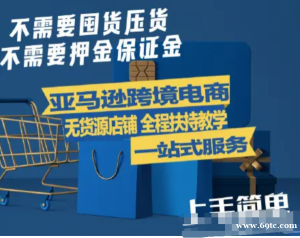 亚马逊跨境电商无货源店铺