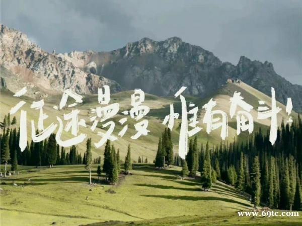 金陵科技学院五年制专转本可报考专业详情及各专业备考攻略 金陵科技学院五年制专转本可报考专业详情及各专业备考攻略