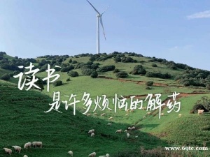 备考2024年五年制专转本该如何准备,怎样才能提高上岸几率