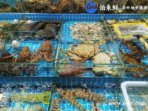 加盟泊来鲜海鲜超市赚钱吗? 加盟泊来鲜海鲜超市赚钱吗?