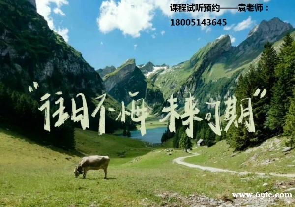 注意了!这些因素真的会影响五年制专转本备考,看看自己踩雷没? 注意了!这些因素真的会影响五年制专转本备考,看看自己踩雷没?