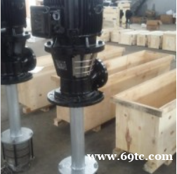 恩达泵业QLY60-68液下泵 恩达泵业QLY60-68液下泵