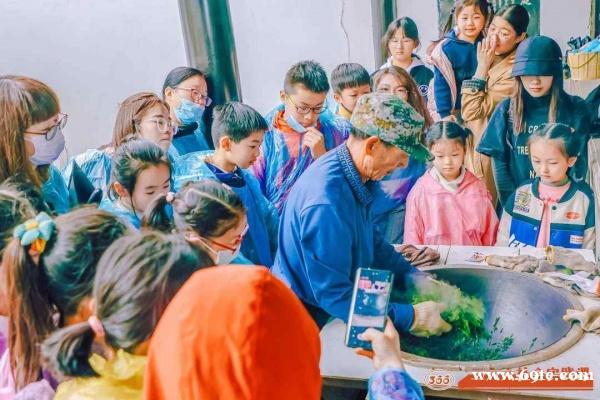 苏州青少年社会实践户外拓展自然探索春日亲子采茶体验活动报名中 苏州青少年社会实践户外拓展自然探索春日亲子采茶体验活动报名中