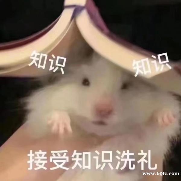 五年制专转本市场营销专业2024年报考人数会呈现降低的趋势吗? 五年制专转本市场营销专业2024年报考人数会呈现降低的趋势吗?