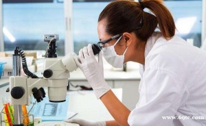 赴美试管胚胎移植前，子宫内膜不达标怎么办？